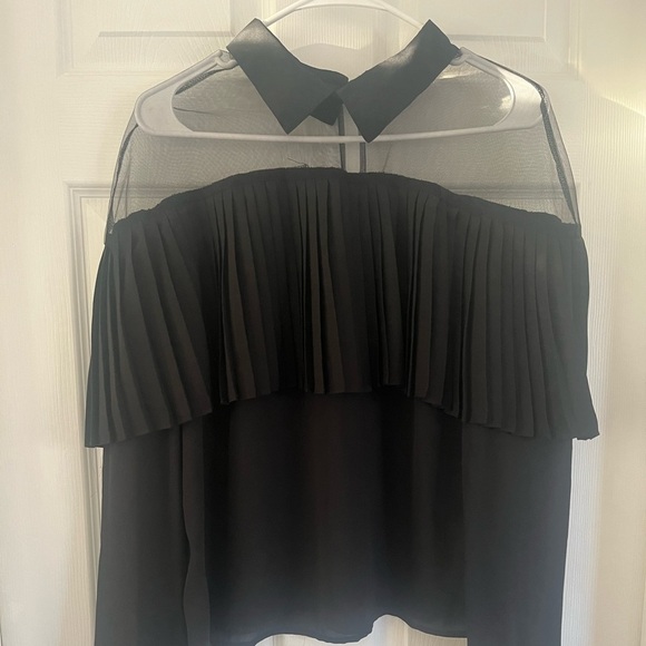 Women’s size medium, long sleeve, sheer and pleated blouse. - Picture 3 of 7